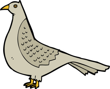 Bir insan tarafından çizilmiş çizgi film kuşu.