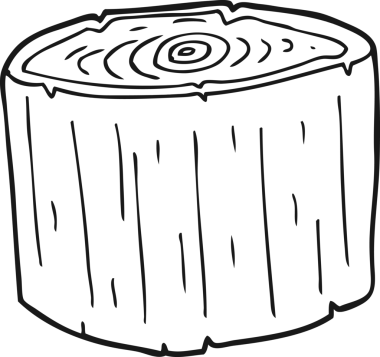 Bir insan tarafından çizilmiş siyah beyaz çizgi film günlüğü