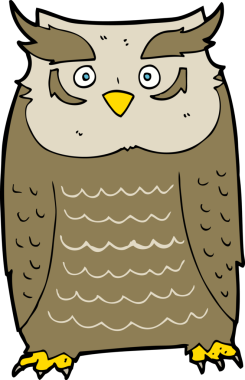 bir insan tarafından çizilmiş bir baykuş.