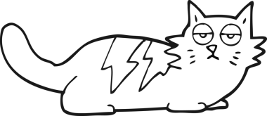 Bir insan tarafından çizilmiş siyah beyaz çizgi film kedisi.