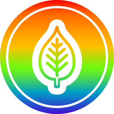 Gökkuşağı gradyan bir insan tarafından çizilmiş doğal yaprak dairesel simgesi