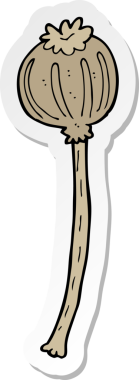 Bir insan tarafından çizilmiş kurutulmuş haşhaş yapıştırması.