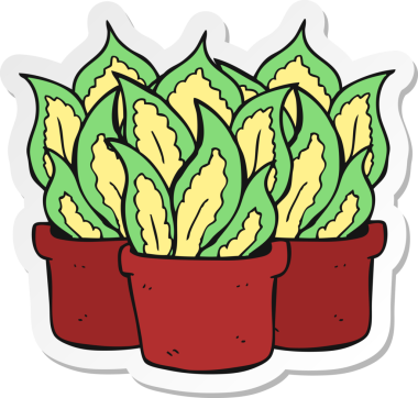 Bir insan tarafından çizilmiş bir karikatür evinin etiketi.