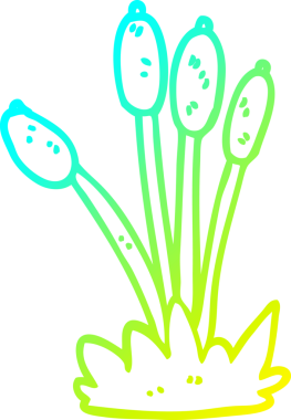 Soğuk gradyan çizgisi bir insan tarafından çizilmiş sazlıklardan oluşan bir karikatür.