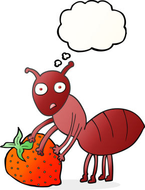 Bir insan tarafından çizilmiş böğürtlenli serbest çizim baloncuk karınca.