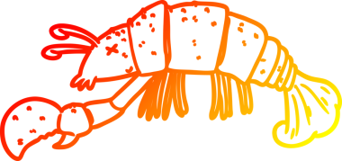 Bir insan tarafından çizilmiş bir ıstakozun sıcak çizgi çizimi