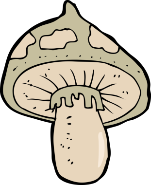 Bir insan tarafından çizilmiş mantar taburesi.