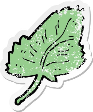 Bir insan tarafından çizilmiş bir çizgi film yaprak sembolünün gerilimli yapıştırması.