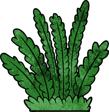 Bir insan tarafından çizilen bitki yetiştirme çizgi filmi