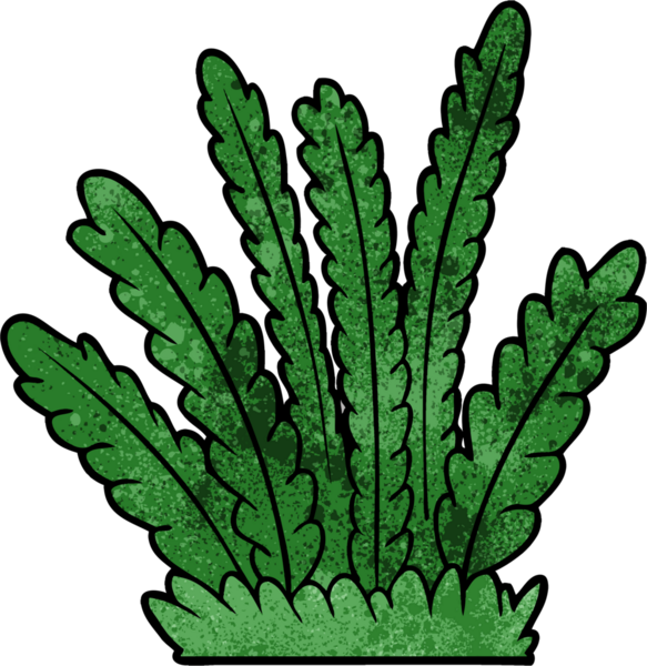 Bir insan tarafından çizilen bitki yetiştirme çizgi filmi