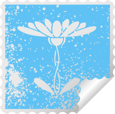 Bir insan tarafından çizilmiş bir çiçeğin kare soyulmuş çıkartması.