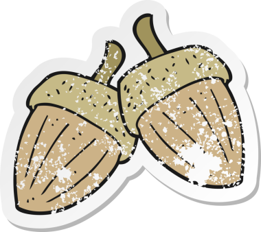 Bir insan tarafından çizilmiş bir meşe palamudunun gerilemiş çıkartması.