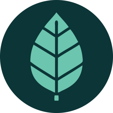 Bir insan tarafından çizilmiş yaprağın ikonik dövme şekli