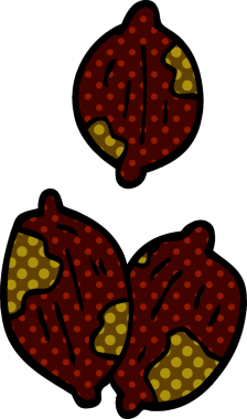 Bir insan tarafından çizilmiş kabuklu fındık karalaması.