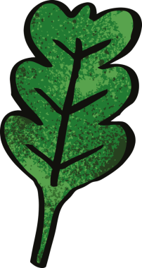 bir insan tarafından çizilmiş karikatür meşe yaprağı.