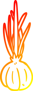 Bir insan tarafından çizilmiş sarımsak soğanı çizimi.