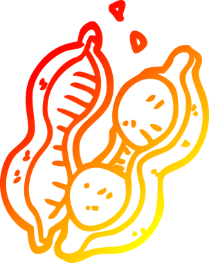 Bir insan tarafından kabuk içinde çizilmiş bir bezelyenin sıcak çizgi çizimi