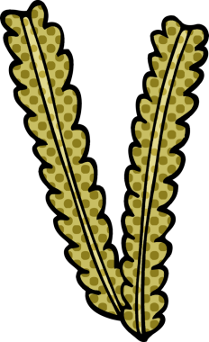 Bir insan tarafından çizilmiş karalama buğdayı.