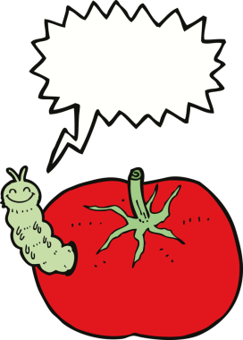 Bir insan tarafından çizilmiş, böcekli domates.