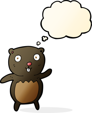 Bir insan tarafından çizilmiş düşünce baloncuğu olan siyah ayı yavrusu.