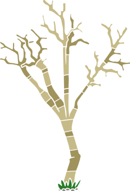 Bir insan tarafından çizilmiş düz renk çizgi film kış ağacı