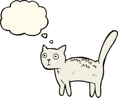 Bir insan tarafından çizilmiş düşünce balonlu korkmuş kedi çizgi filmi.