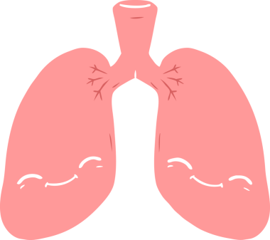 Bir insan tarafından çizilmiş düz renkli çizgi film akciğerleri