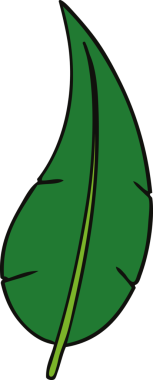 Bir insan tarafından çizilmiş yeşil, uzun bir yaprağın karalaması.