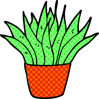 Bir insan tarafından çizilmiş karalama evi bitkisi.