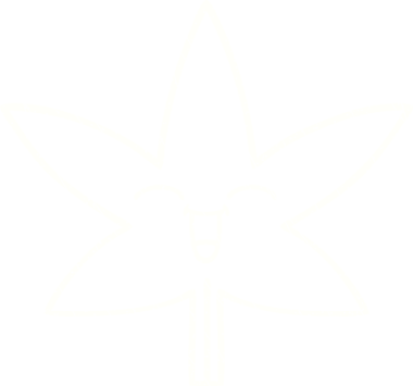 Bir insan tarafından çizilen Yaprak Tebeşiri