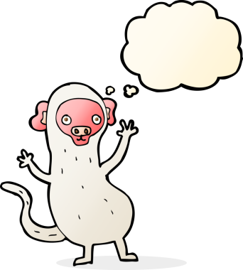 Bir insan tarafından çizilmiş düşünce baloncuklu çizgi maymun.