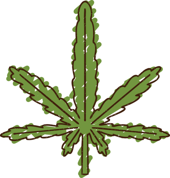Bir insan tarafından çizilmiş Kenevir Yaprağı Tebeşiri