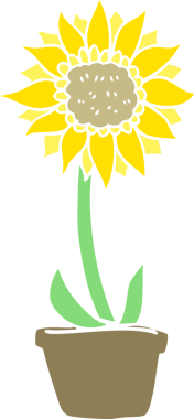 Bir insan tarafından çizilmiş ayçiçeğinin düz renk çizimi