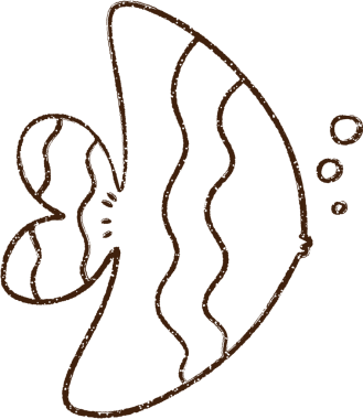 Bir insan tarafından çizilmiş melek balığı kömürü.