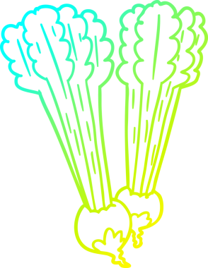 Bir insan tarafından çizilmiş bir pancar kökü çizimi.