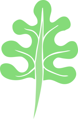 Bir insan tarafından çizilmiş yaprağın düz renk çizimi