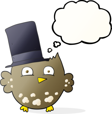 Bir insan tarafından çizilmiş silindir şapkalı küçük baykuş.