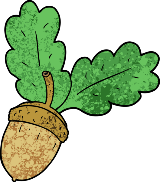 Bir insan tarafından çizilmiş bir palamut.