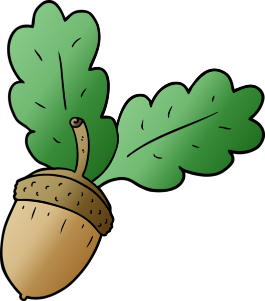 Bir insan tarafından çizilmiş bir palamut.