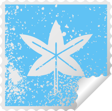 Bir insan tarafından çizilmiş bir sonbahar yaprağının kare soyma etiketi.