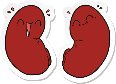 Bir insan tarafından çizilmiş mutlu böbrekler.