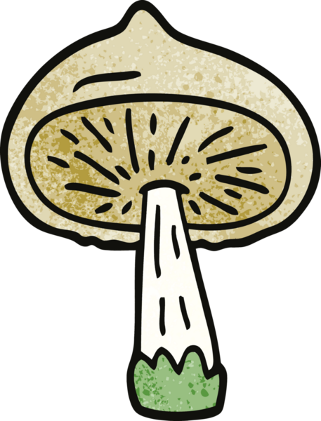 Bir insan tarafından çizilmiş karalama mantarı.