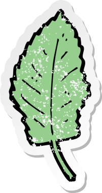 Bir insan tarafından çizilmiş bir çizgi film yaprak sembolünün gerilimli yapıştırması.