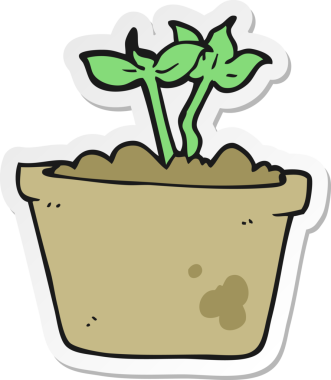 Bir insanın çizdiği filizlenme bitkisinin çıkartması.