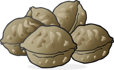 Bir insan tarafından çizilmiş ceviz karikatürü.