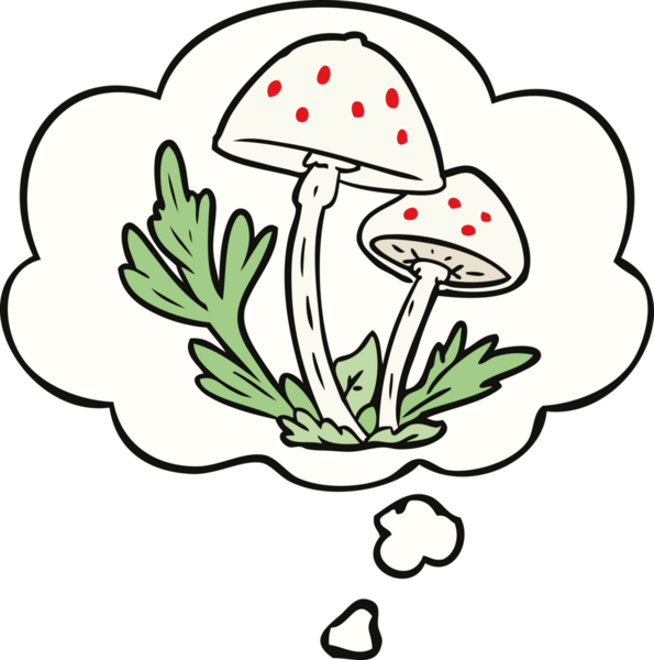 Bir insan tarafından çizilmiş düşünce baloncuklu mantarlar.