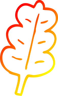 Bir insan tarafından çizilen meşe yaprağının sıcak çizgi çizimi