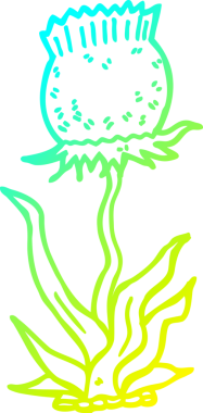 Bir insan tarafından çizilmiş vahşi bir çiçeğin soğuk çizgi çizimi.