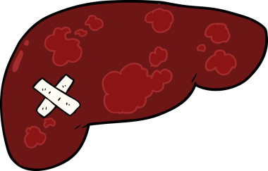 Bir insan tarafından çizilmiş sağlıksız karaciğer.