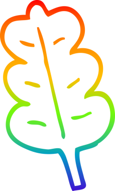 Bir insan tarafından çizilmiş bir meşe yaprağının çizimi.